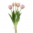 Tulipán svazek plnokvětý, 5 ks, sv. růžová