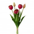 Tulipán svazek plnokvětý, 5 ks, červená