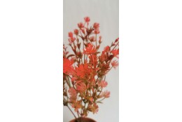 Tráva plast jetel 6 barev 34 cm