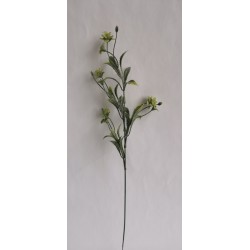 Kvetoucí tráva - pudr, 4 barvy