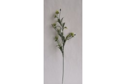 Kvetoucí tráva - pudr, 4 barvy