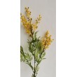 Kvetoucí asparagus větvička, v. 77 cm