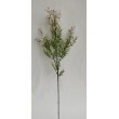 Kvetoucí asparagus větvička, v. 77 cm