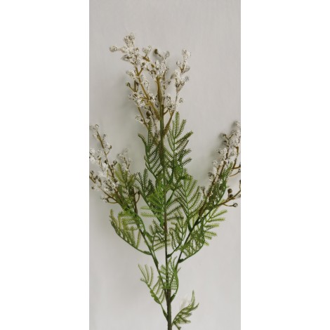 Kvetoucí asparagus větvička, v. 77 cm
