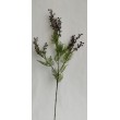 Kvetoucí asparagus větvička, v. 77 cm