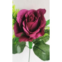 Růže tm. fialová zápich 30 cm