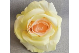 Růže krémovo-zeleno-broskvová vazbová 7*8 cm