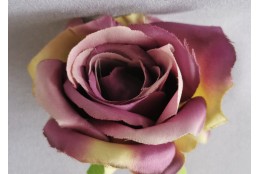 Růže fialovo-zelená vazbová 7*8 cm