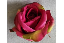 Růže tm. růžovo-zelená vazbová 7*8 cm