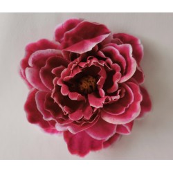 Pivoňka vínovo-bílá vazbová Ø 12 cm