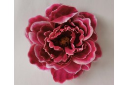 Pivoňka vínovo-bílá vazbová Ø 12 cm