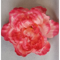 Pivoňka tm. a sv. růžová vazbová Ø 12 cm