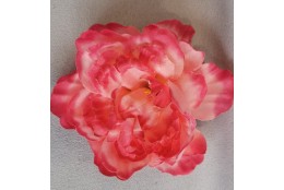 Pivoňka tm. a sv. růžová vazbová Ø 12 cm