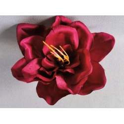 Amarylis tm. fialovo-vínová vazbovka Ø 14 cm