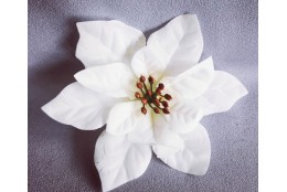 Poinsettie bílá vazbová Ø 16 cm