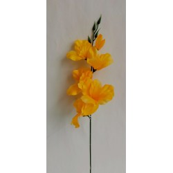 Gladiola tm. žlutá 52 cm
