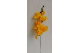 Gladiola tm. žlutá 52 cm