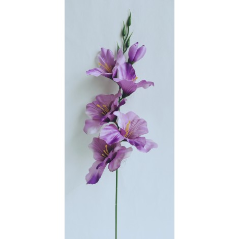 Gladiola