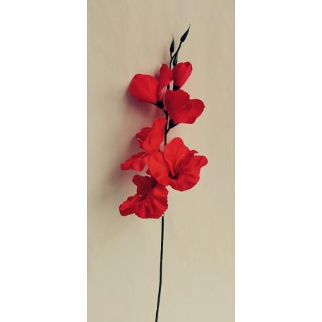 Gladiola