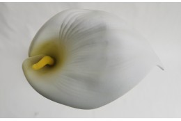Kala bílá vazbová 15*11 cm
