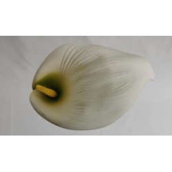 Kala krémovo-zelená vazbová 15*11 cm
