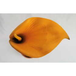 Kala tm. žlutá vazbová 15*11 cm