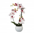 Orchidej v květináči, 42 cm
