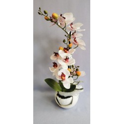 Orchidej 1118033-10, rozbitý květináč