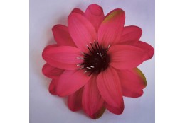 Jiřina Dahlia beauty-green vazbová Ø 12 cm