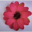 Dahlia