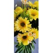 Gerbera kyrtice bohatá, 6 b.