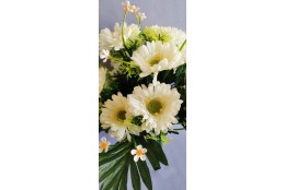 Gerbera kytice bohatá bílá 45 cm