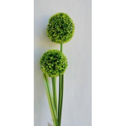 Česnek 2 květy 2 barvy 83 cm
