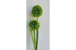 Česnek 2 květy 2 barvy 83 cm
