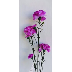 Karafiát 3 barvy 64 cm