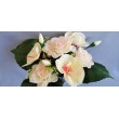 Růže, orchidej kytička, 5 barev