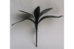 Listy orchideje x5, super cena 28 cm