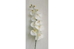 Orchidej bílá, 100 cm