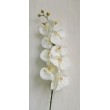 Orchidej bílá, 100 cm