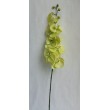 Orchidej zelená, 100 cm