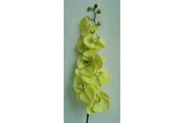 Orchidej zelená 100 cm