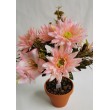 Kytice gerbera, lilie, 6 barev