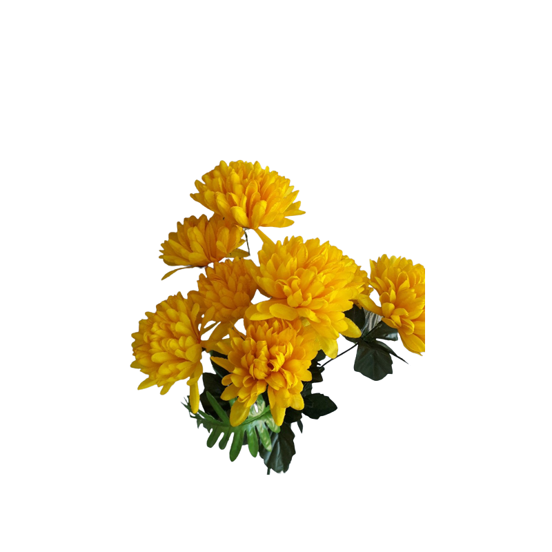Chryzantéma kytice