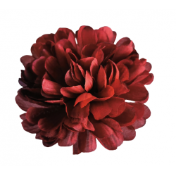 Chryzantéma cerise black vazbová Ø 10 cm