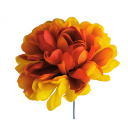 Chryzantéma cerise yellow vazbová Ø 10 cm