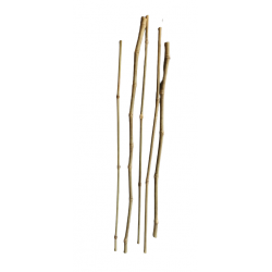 BAMBOO-RATAN 5 ks 70 cm