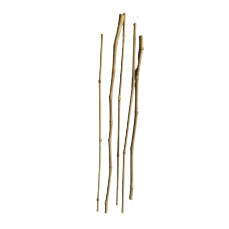 BAMBOO-RATAN, 5 ks