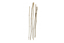 BAMBOO-RATAN 5 ks 70 cm