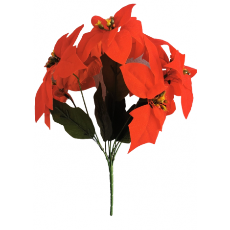 Poinsettie kytička červená