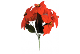 Poinsettie kytička červená